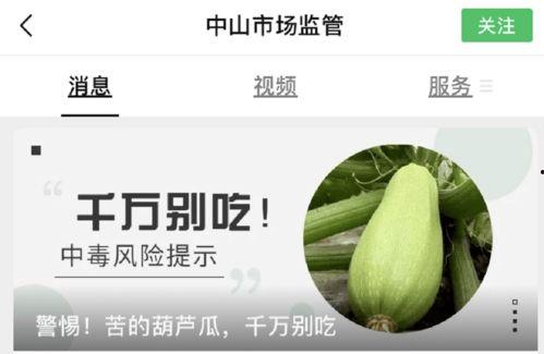 吃蜜瓜有点苦,蜜瓜苦涩中的甜蜜滋味探索