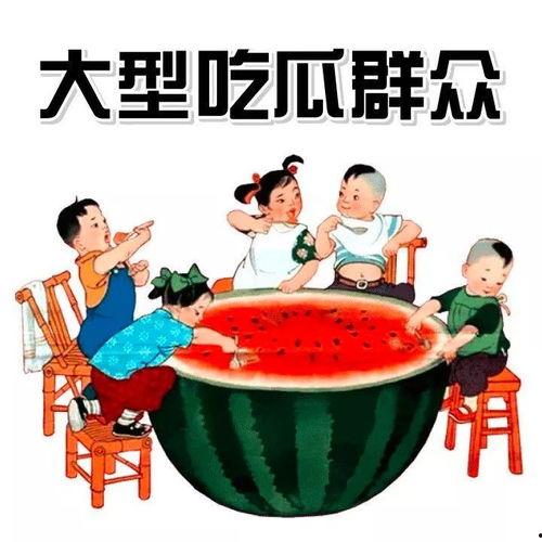 侍从的吃瓜修养免费下载,揭秘宫廷中的趣味生活与智慧传承
