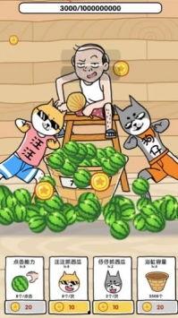 侍从的吃瓜修养免费下载,揭秘宫廷中的趣味生活与智慧传承