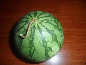 小伙吃瓜绝技图片大全,小伙吃瓜绝技图片大全揭秘