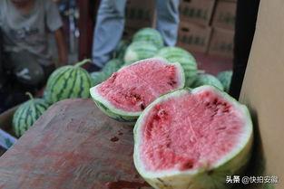 小伙吃瓜绝技图片大全,小伙吃瓜绝技图片大全揭秘