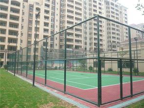 校园围栏吃瓜,揭秘校园八卦背后的故事