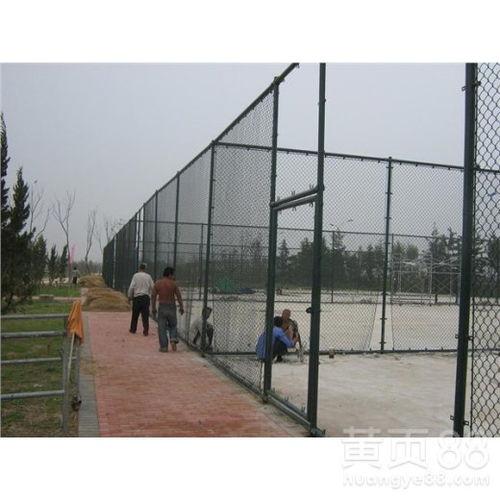 校园围栏吃瓜,揭秘校园八卦背后的故事