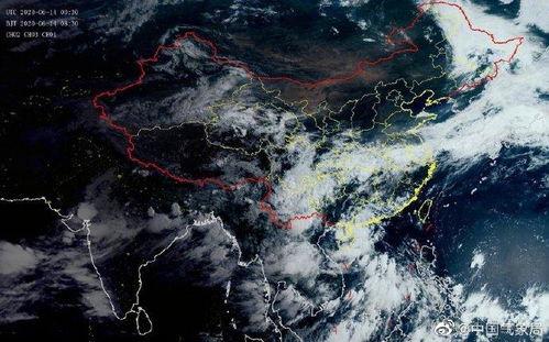 台风鹦鹉吃瓜完整视频,一场惊心动魄的吃瓜盛宴