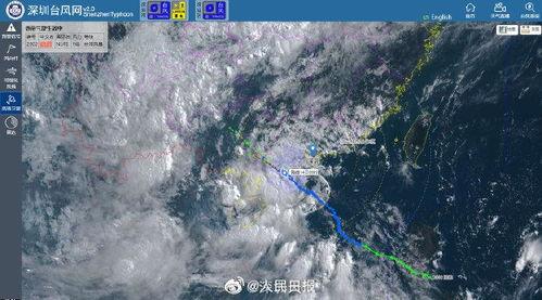 台风鹦鹉吃瓜完整视频,一场惊心动魄的吃瓜盛宴