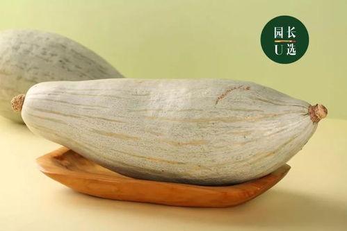 新疆圆瓜怎么吃,解锁美味新体验