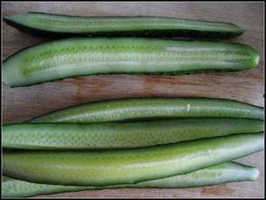 新疆圆瓜怎么吃,解锁美味新体验