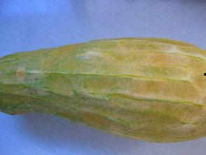 新疆圆瓜怎么吃,解锁美味新体验